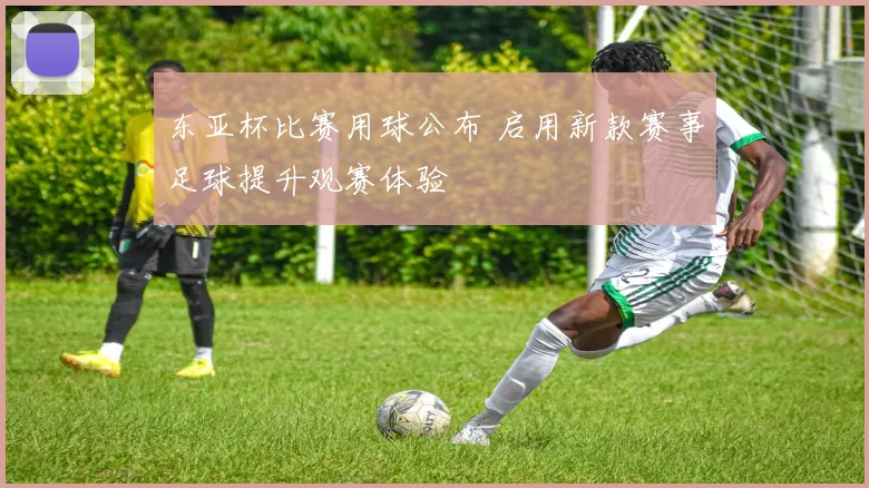 东亚杯比赛用球公布 启用新款赛事足球提升观赛体验