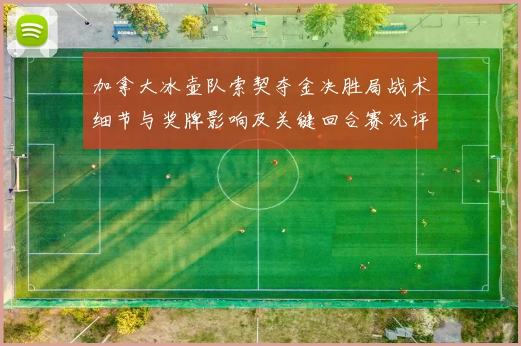 加拿大冰壶队索契夺金决胜局战术细节与奖牌影响及关键回合赛况评述