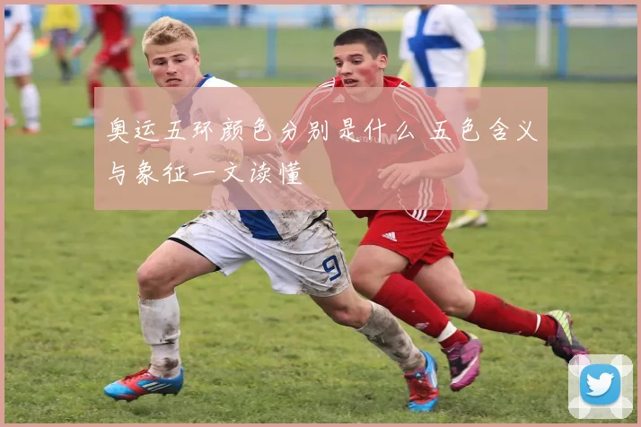 奥运五环颜色分别是什么 五色含义与象征一文读懂