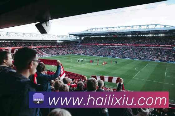 奇异果app官网入口 - 奇异果(中国)全站App 奇异果app官网入口 - 奇异果(中国)全站App